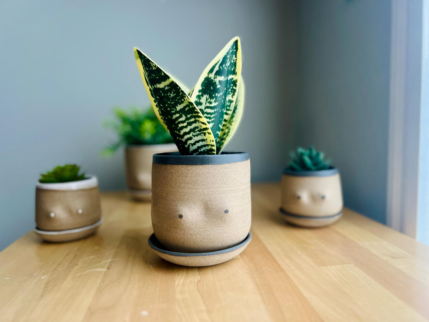 Handmade Boob Planters – Fun Ceramic Pots – Indoor Plant Planter – Unique & Functional Gif