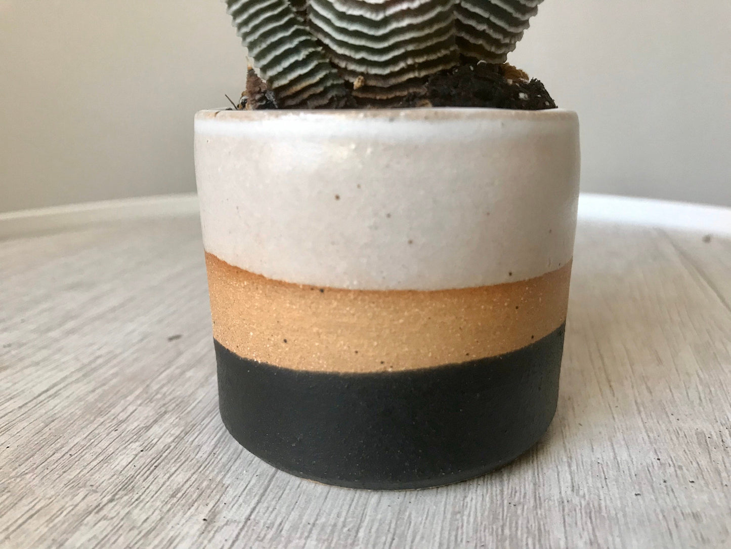 Tri color- beige white and black- 2 succulent holders- handmade ceramics- three pack