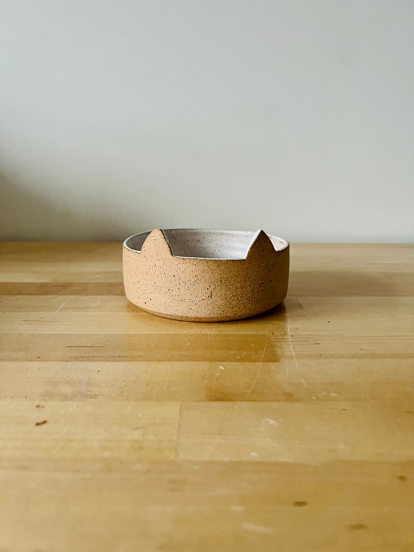 cat food bowl