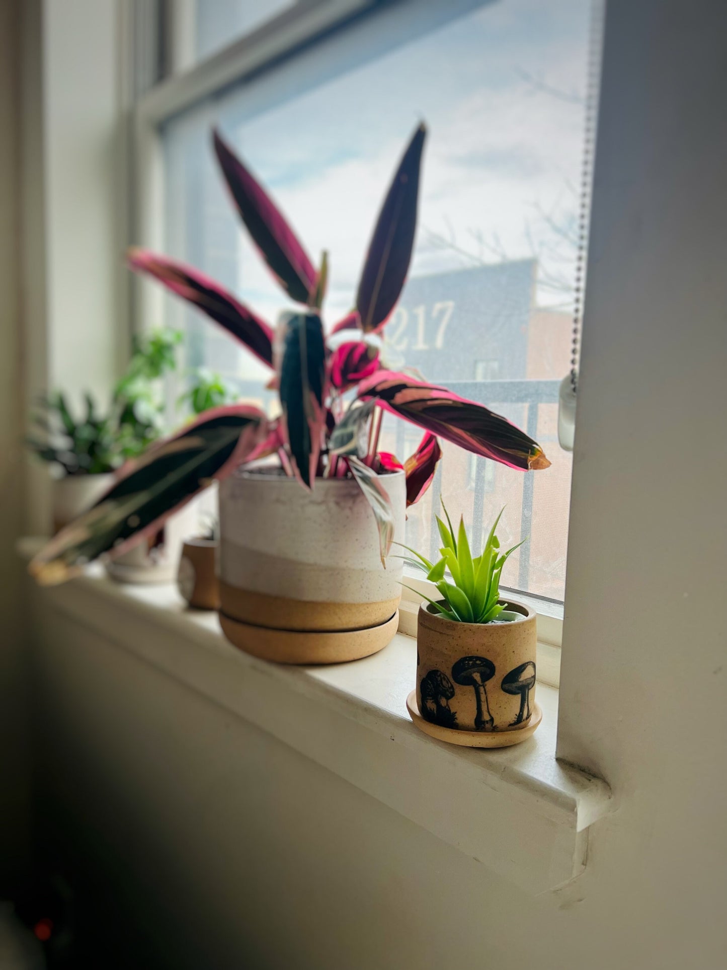 Handmade Ceramic Mushroom Pot with Saucer - Cylinder Stoneware Planter