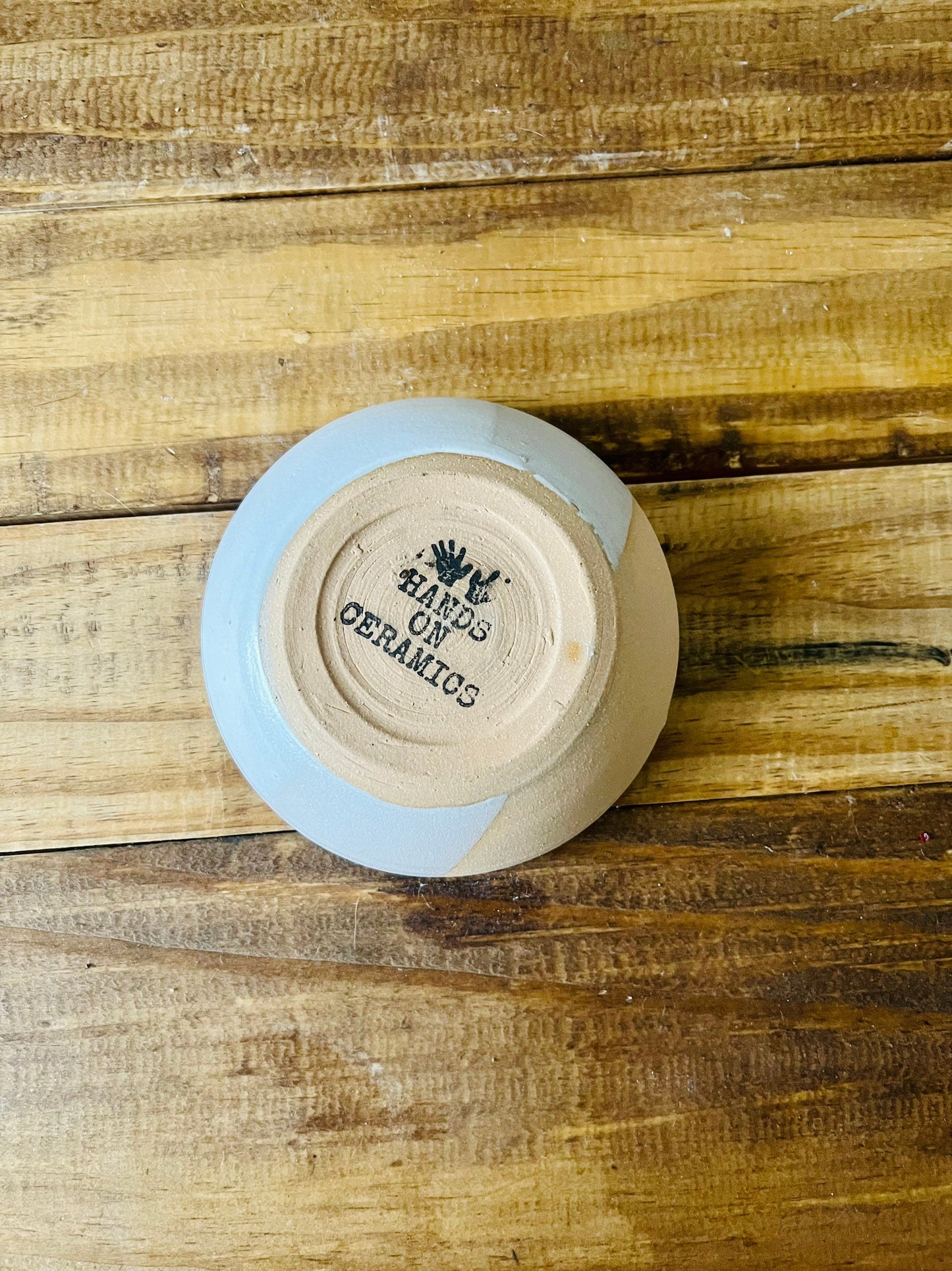 ceramic garlic grater - multipurpose dish-kitchenware- bowls- White