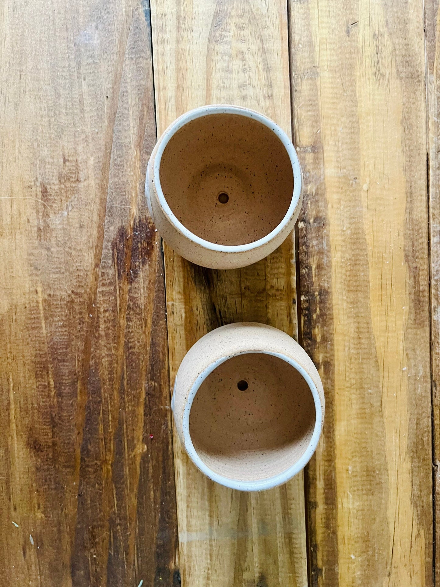 SECONDS- boob designSucculent pot. 3" White. Ceramic.