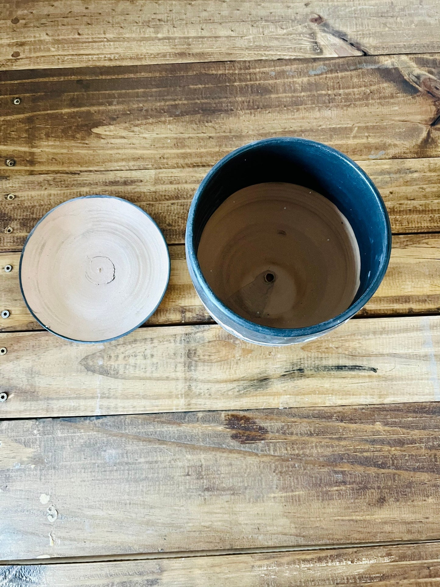 Seconds- 6 inch Round Bottom planter. Black tree scape. Ceramic.