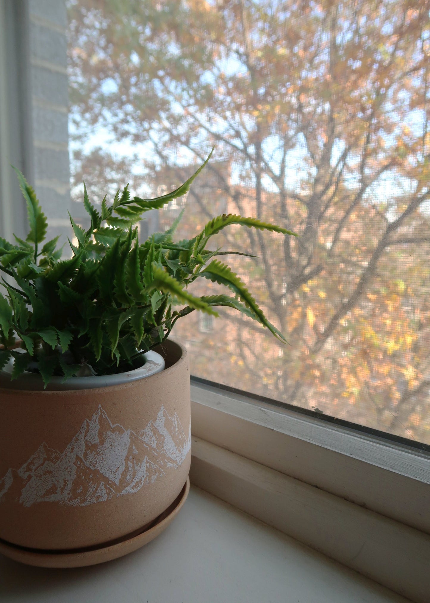 Mountain Planter with Saucer - Cylinder Succulent Pot - Handmade Ceramic