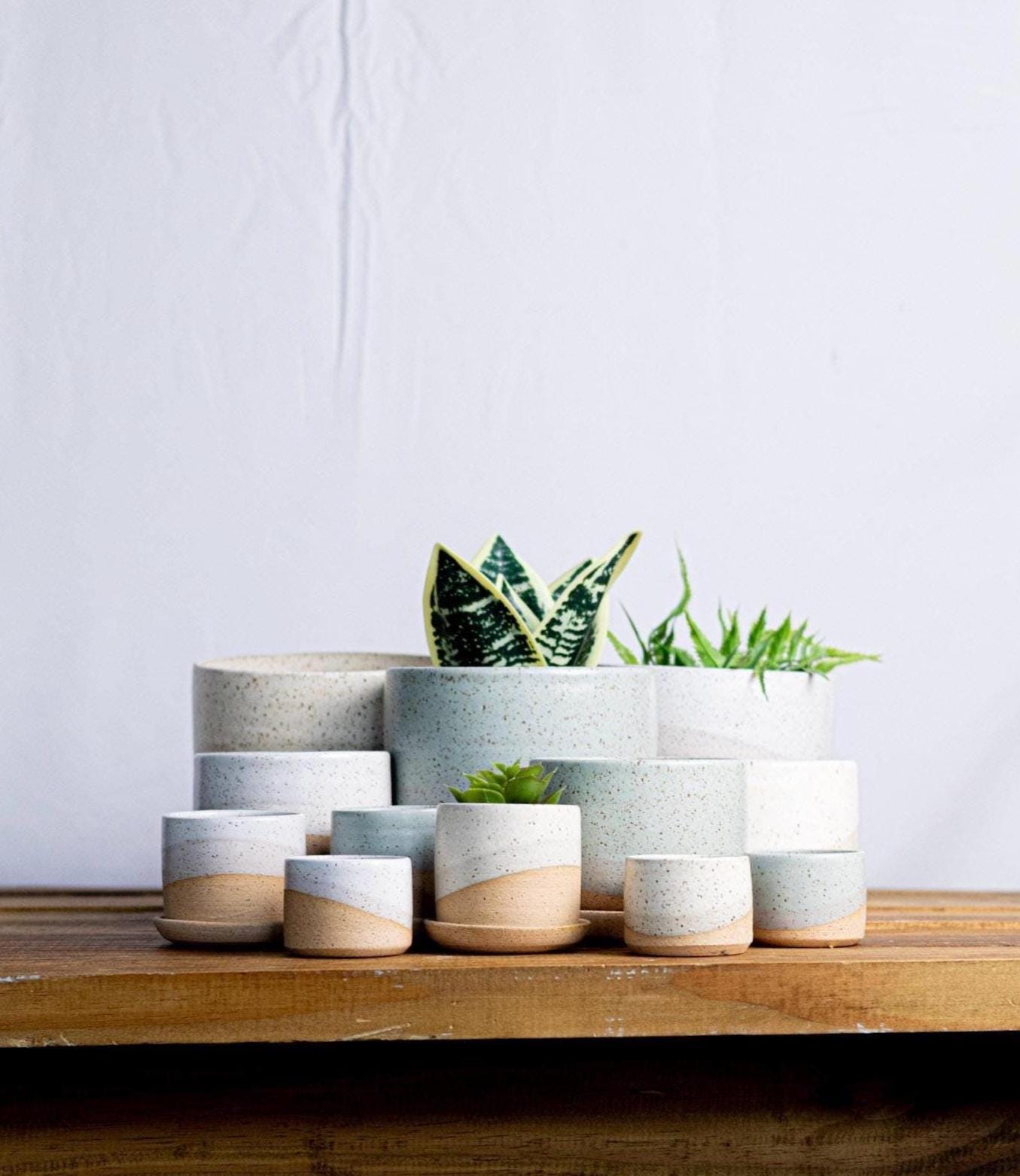 Handmade Ceramic Succulent Pot with Saucer - 3 inch - Speckled or Smooth