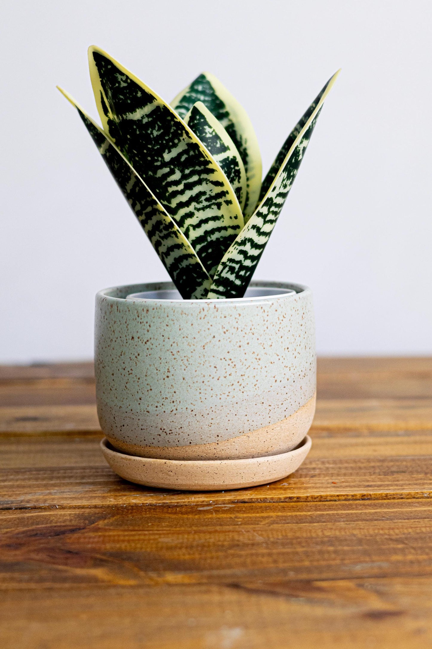 Round Bottom Planter and Saucer - Handmade Ceramic planter- size options