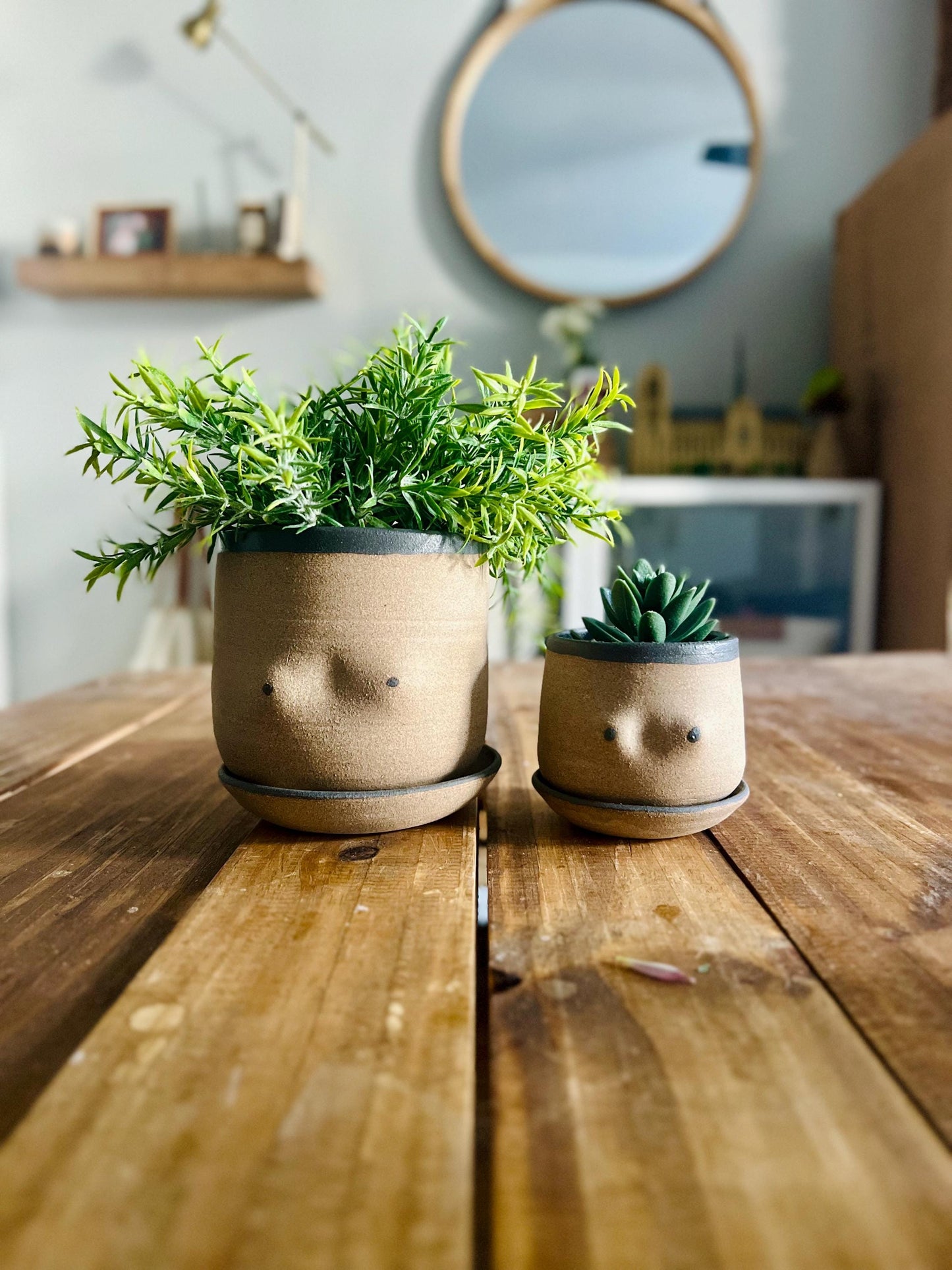 Handmade Boob Planters – Fun Ceramic Pots – Indoor Plant Planter – Unique & Functional Gif
