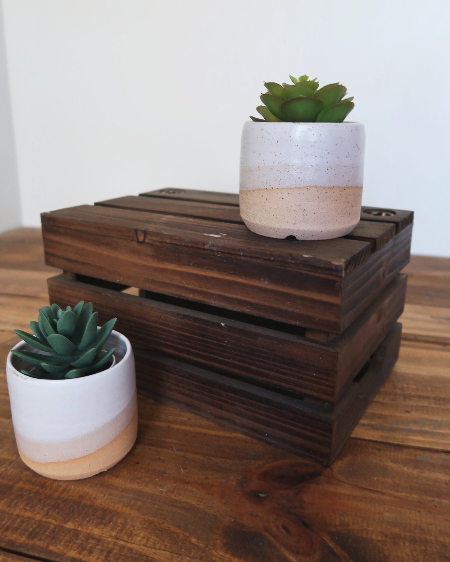 Handmade Ceramic Cylinder Succulent Pot with Saucer – White Planter with Color Options