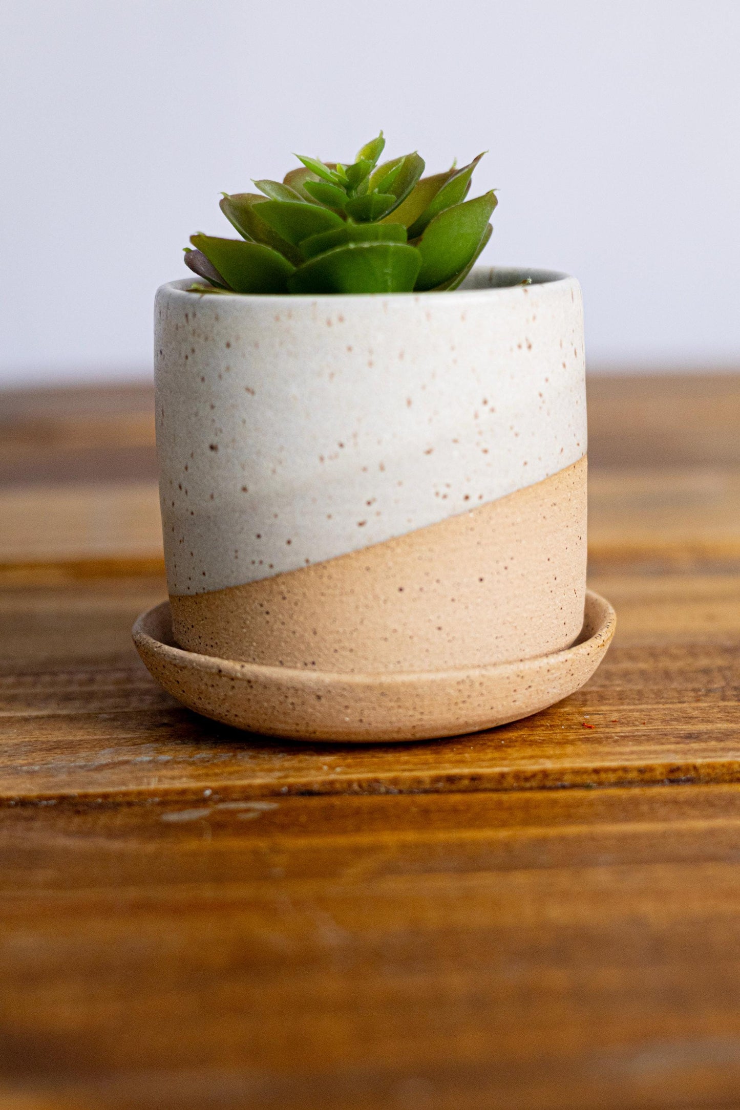 Handmade Ceramic Succulent Pot with Saucer - 3 inch - Speckled or Smooth