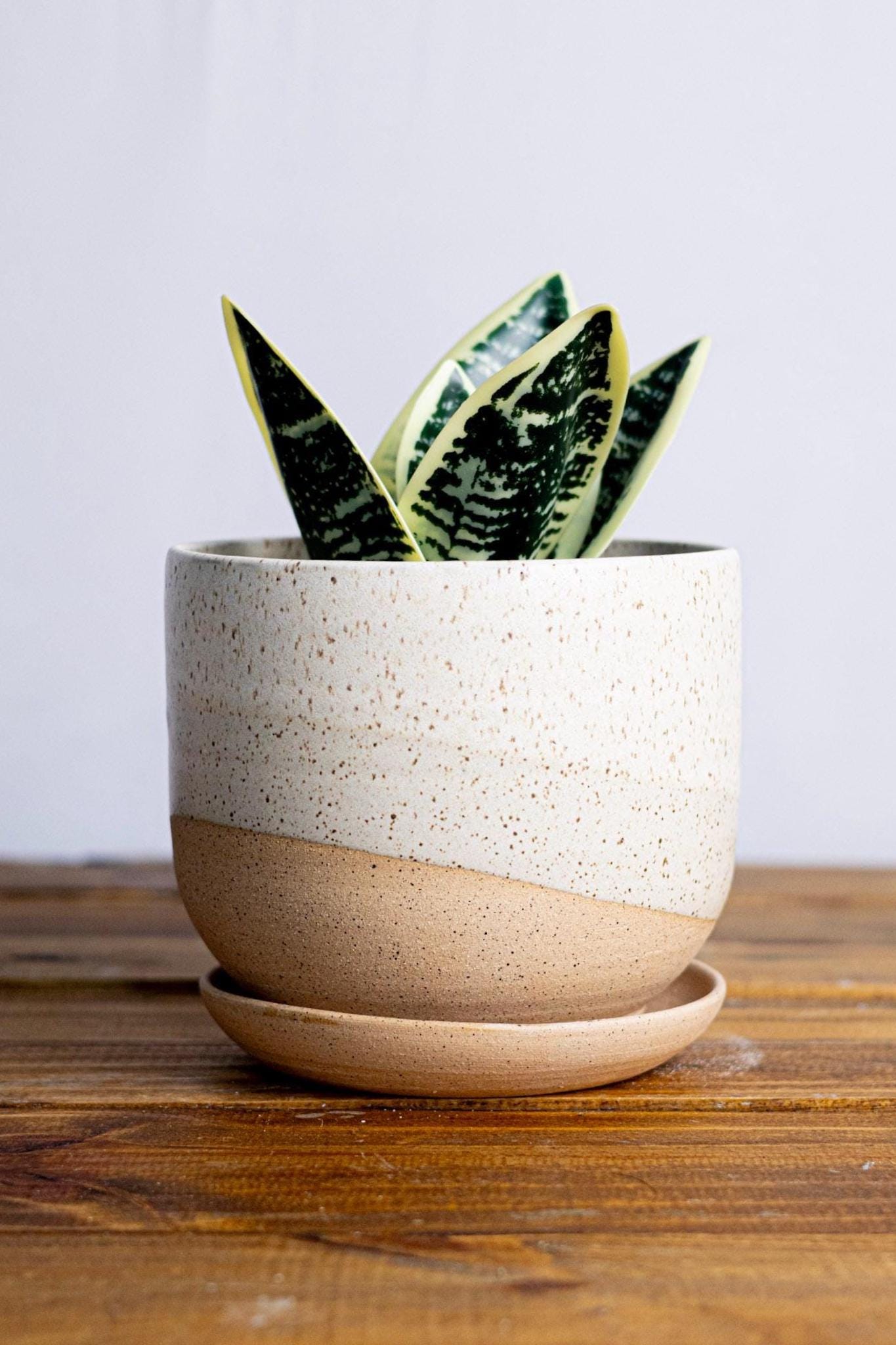 Round Bottom Planter and Saucer - Handmade Ceramic planter- size options