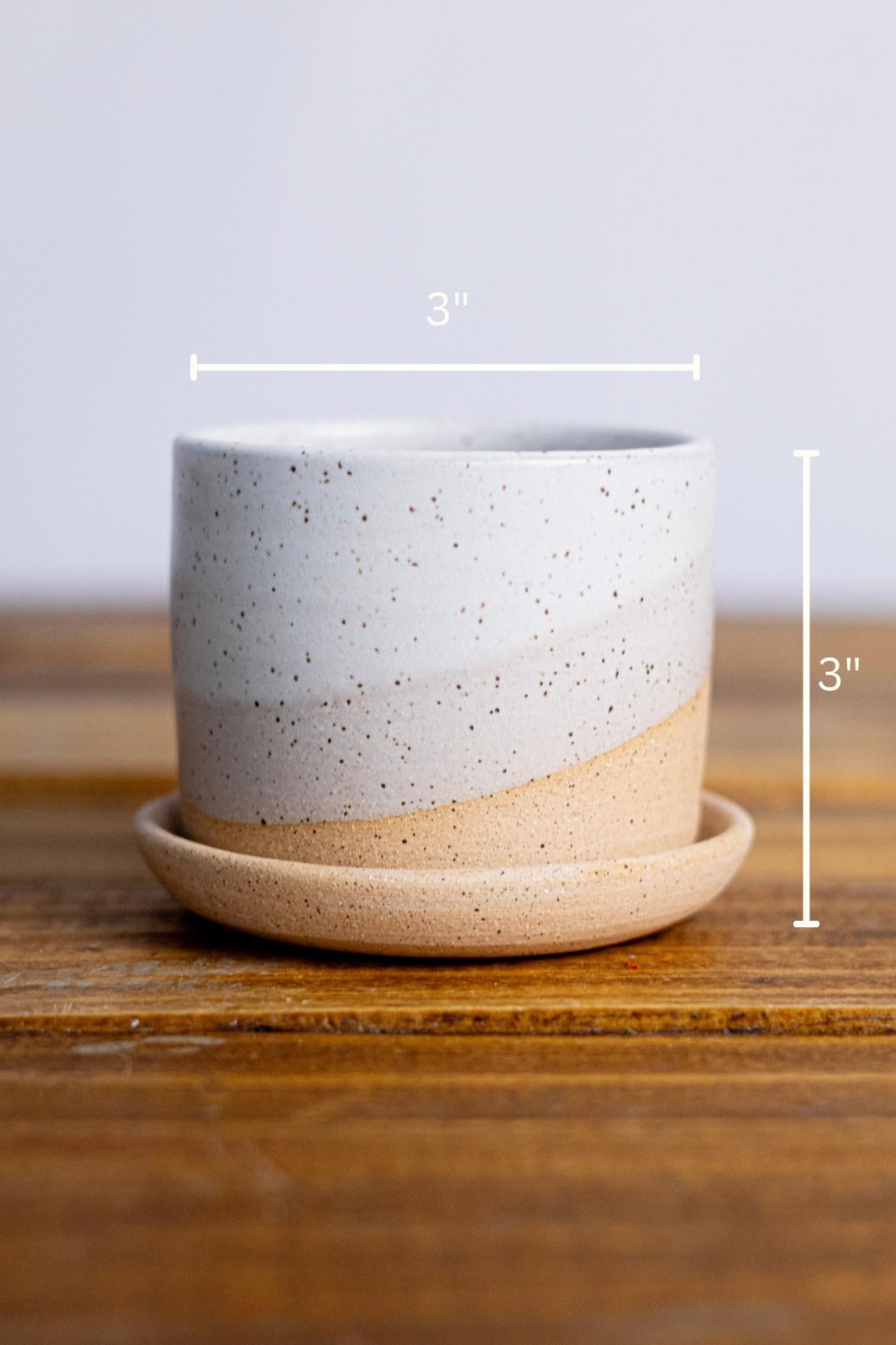 Handmade Ceramic Succulent Pot with Saucer - 3 inch - Speckled or Smooth