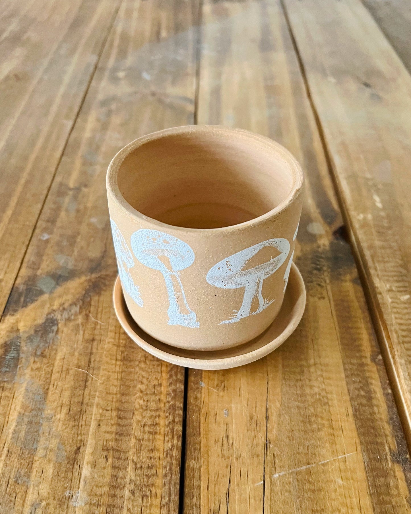 Shroom Pot with Saucer - Cylinder Succulent Pot - Handmade Ceramic - Color Options