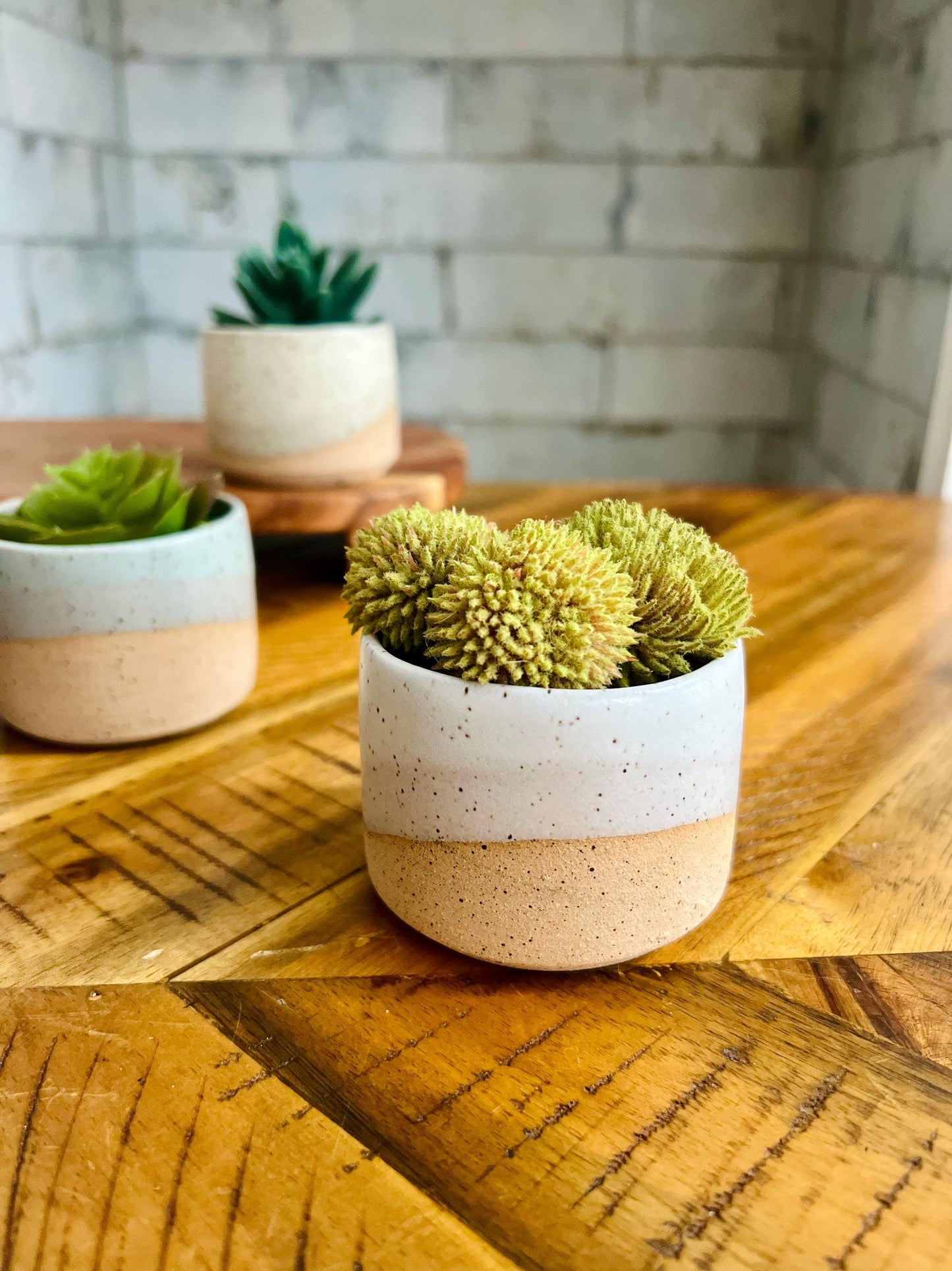 Mini Succulent Pots - 2-pack - Handmade Ceramic planters