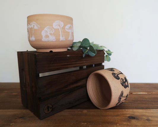 Shroom Planter with Saucer - Succulent/Herb/Plant Pot - Handmade Ceramic