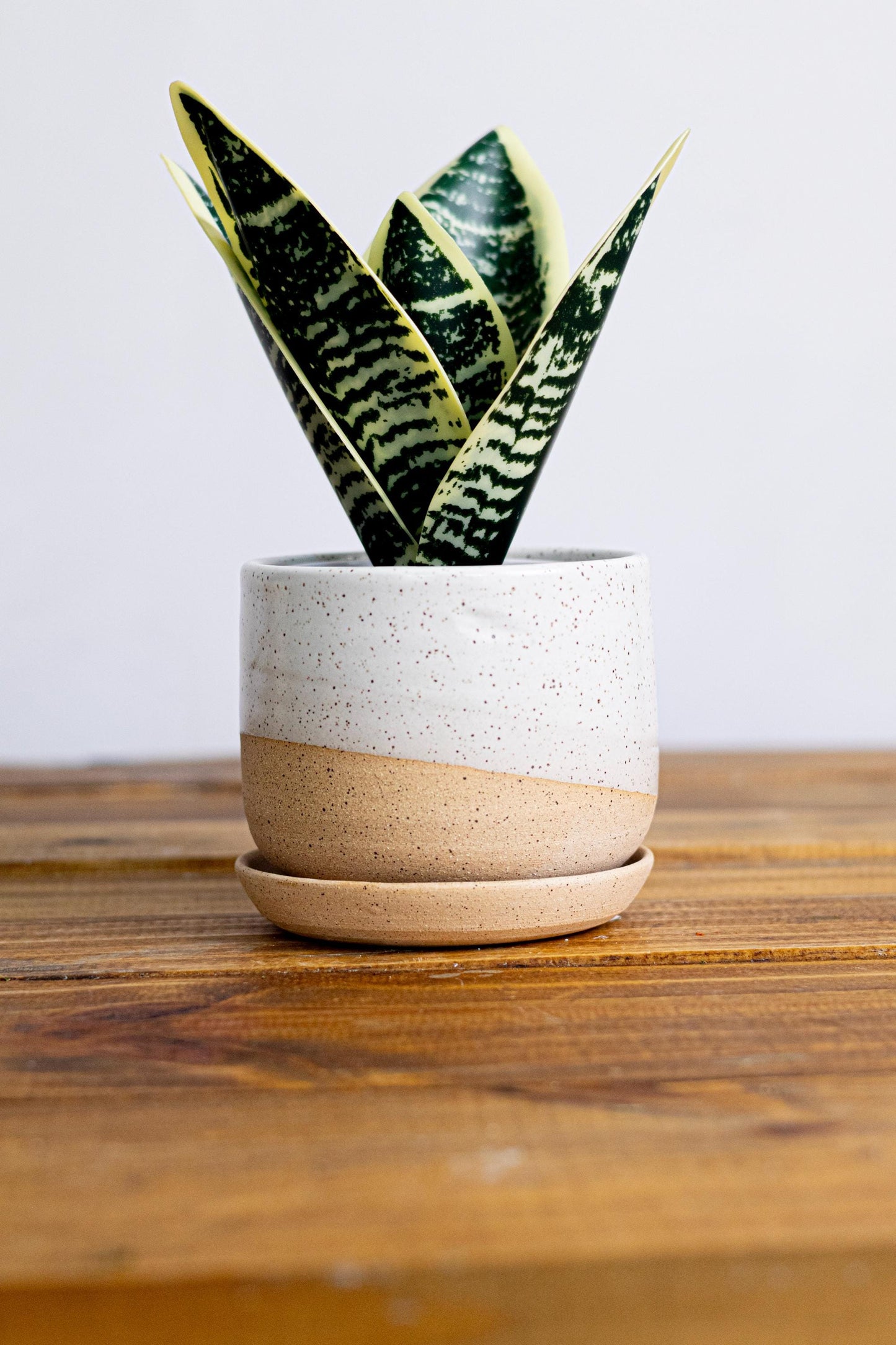 Round Bottom Planter and Saucer - Handmade Ceramic planter- size options