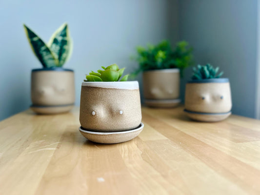 Handmade Boob Planters – Fun Ceramic Pots – Indoor Plant Planter – Unique & Functional Gif