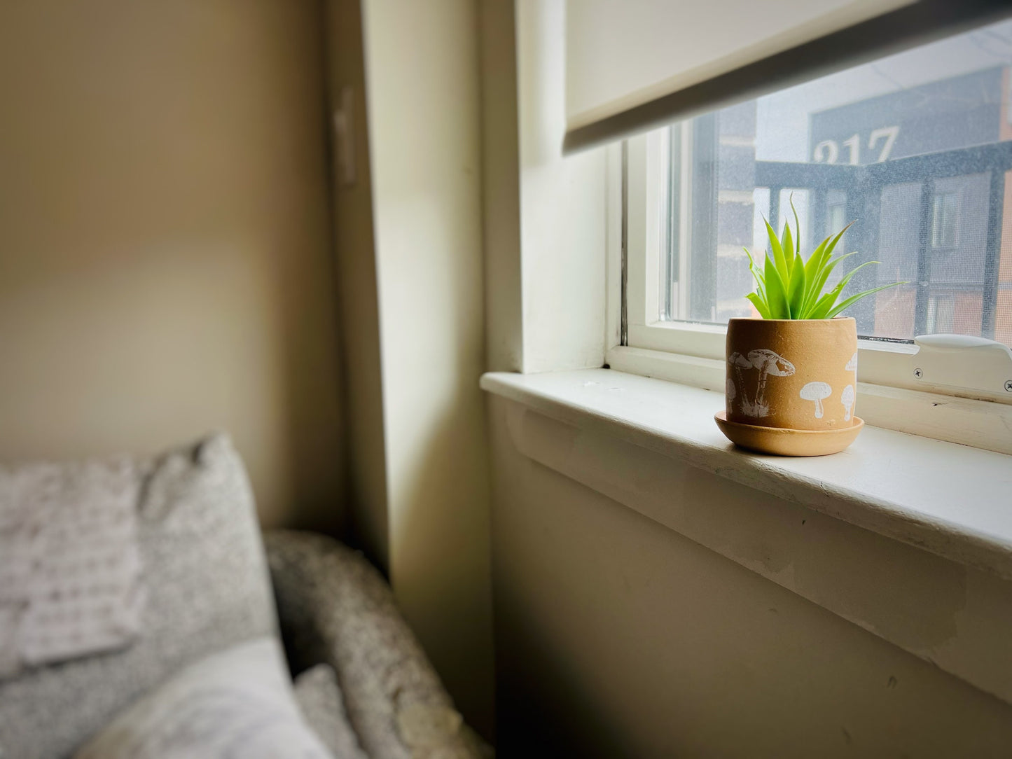 Shroom Pot with Saucer - Cylinder Succulent Pot - Handmade Ceramic - Color Options