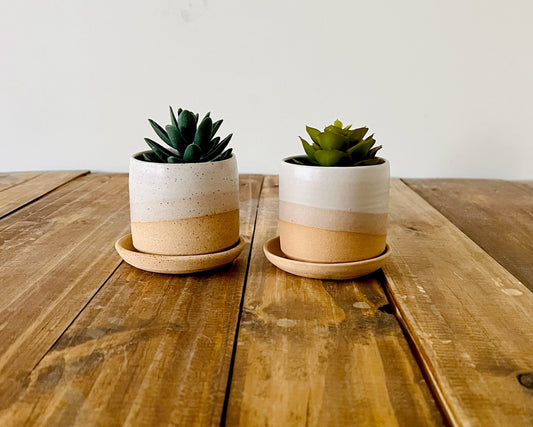Handmade Ceramic Cylinder Succulent Pot with Saucer – White Planter with Color Options