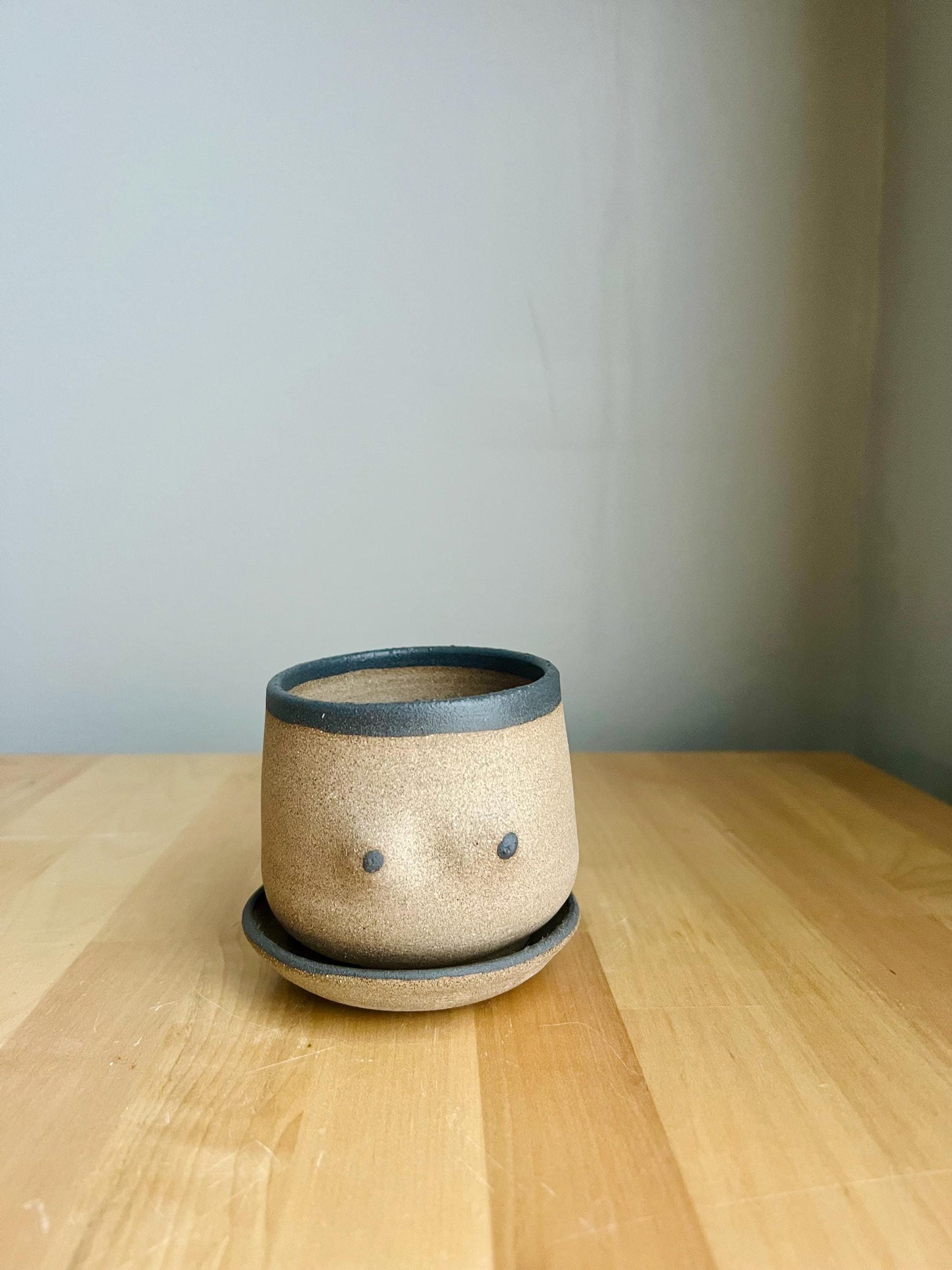 Handmade Boob Planters – Fun Ceramic Pots – Indoor Plant Planter – Unique & Functional Gif
