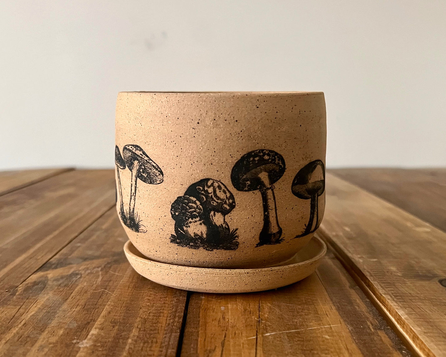 Shroom Planter with Saucer - Succulent/Herb/Plant Pot - Handmade Ceramic