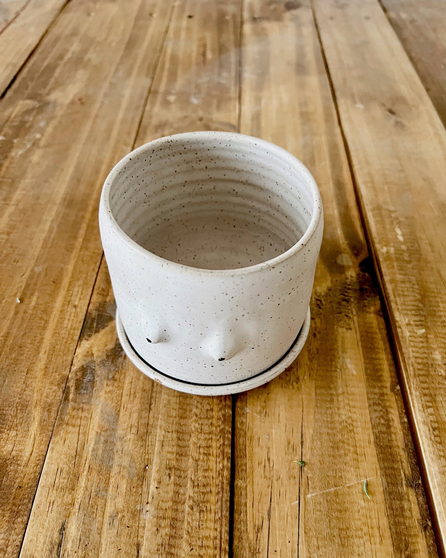 Boobie Planter - Cylinder Planter with Saucer - White - Handmade Ceramic