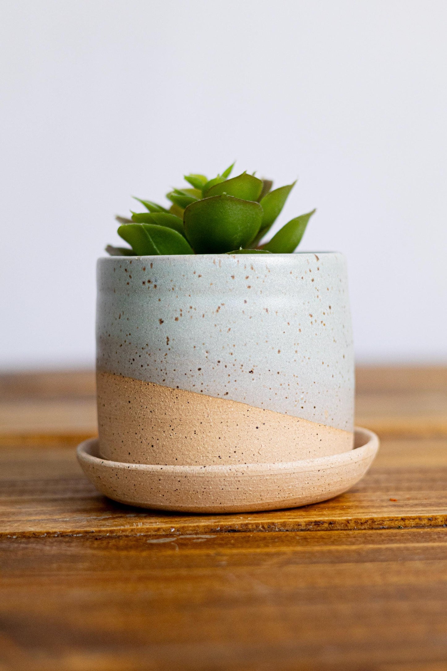 Handmade Ceramic Succulent Pot with Saucer - 3 inch - Speckled or Smooth