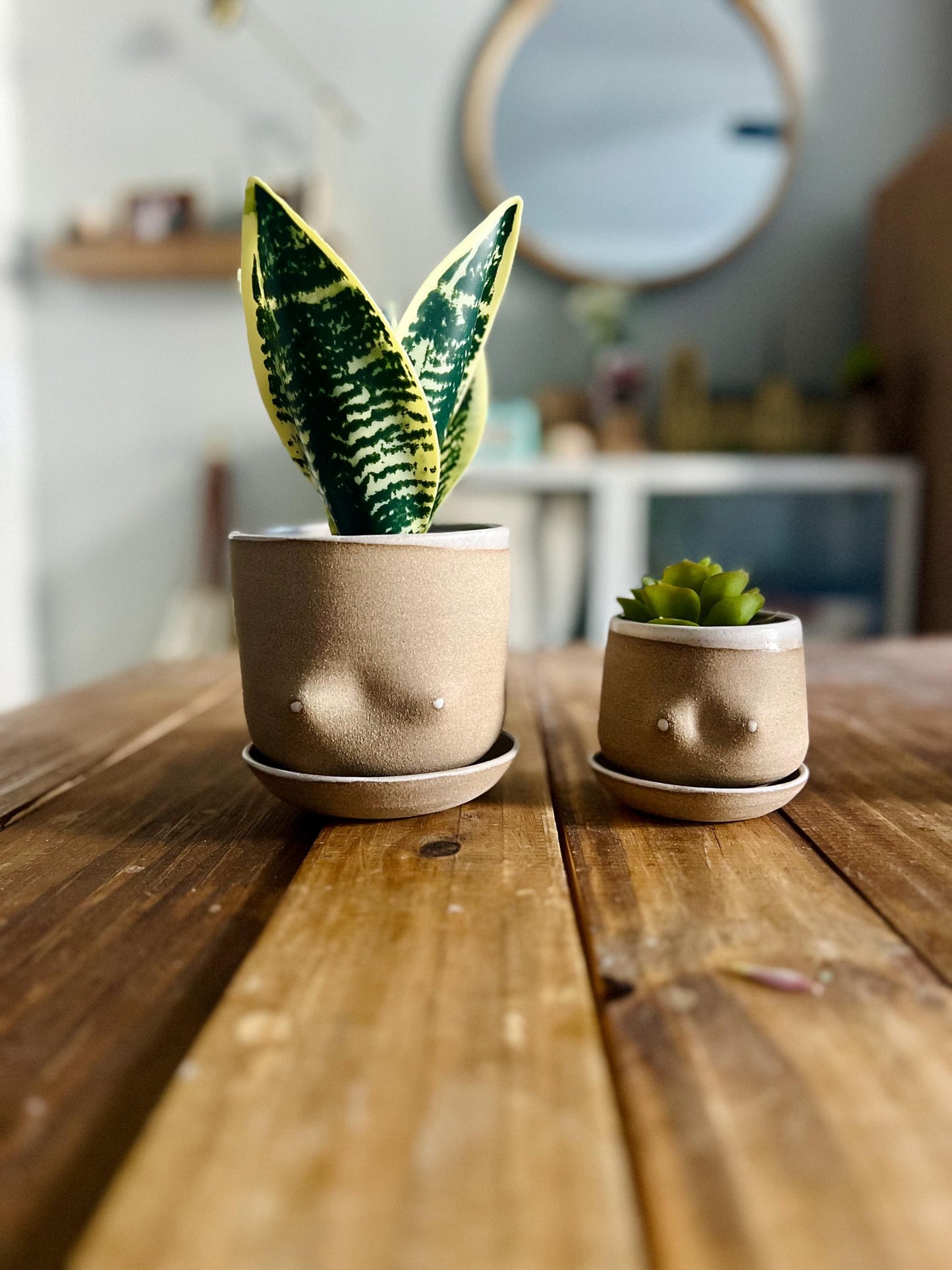 Handmade Boob Planters – Fun Ceramic Pots – Indoor Plant Planter – Unique & Functional Gif