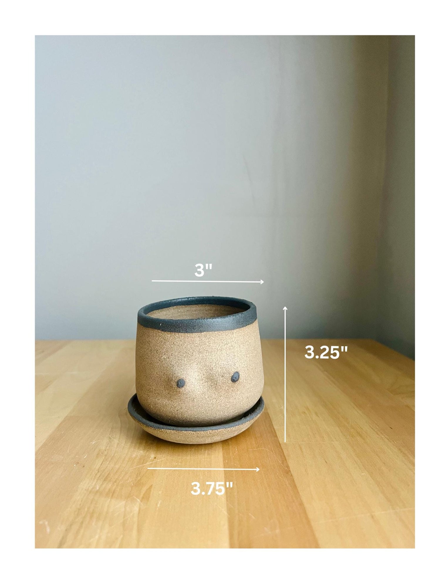 Handmade Boob Planters – Fun Ceramic Pots – Indoor Plant Planter – Unique & Functional Gif