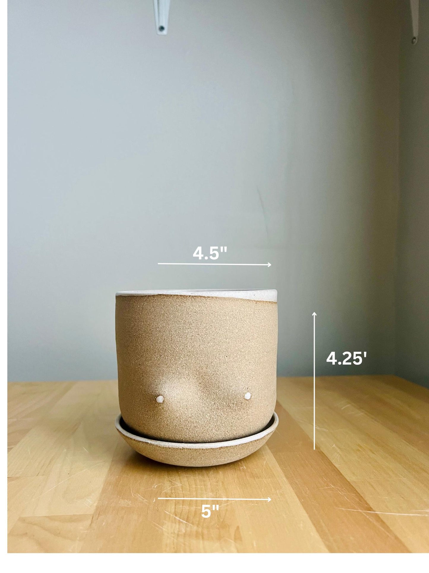 Handmade Boob Planters – Fun Ceramic Pots – Indoor Plant Planter – Unique & Functional Gif