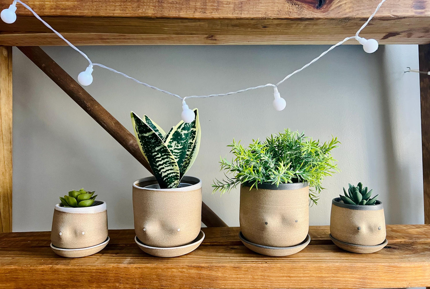 Handmade Boob Planters – Fun Ceramic Pots – Indoor Plant Planter – Unique & Functional Gif