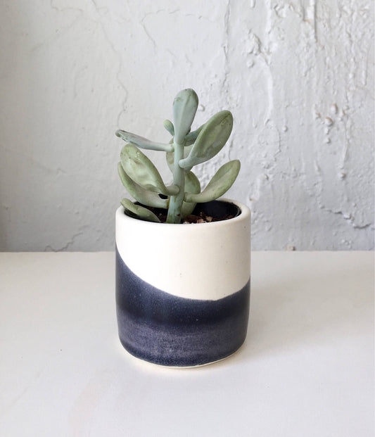 Ceramic mini planter- handmade pottery-mini planter- white and purple