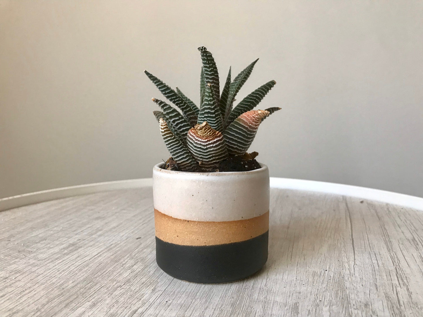Tri color- beige white and black- 2 succulent holders- handmade ceramics- three pack