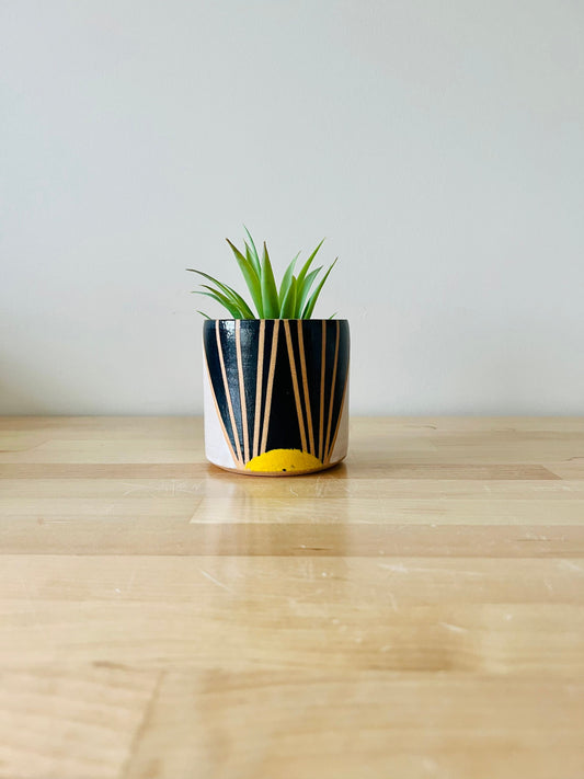 Cylinder Succulent pot with saucer. sunrise plant holder  for 3" plant. White. blue Ceramic