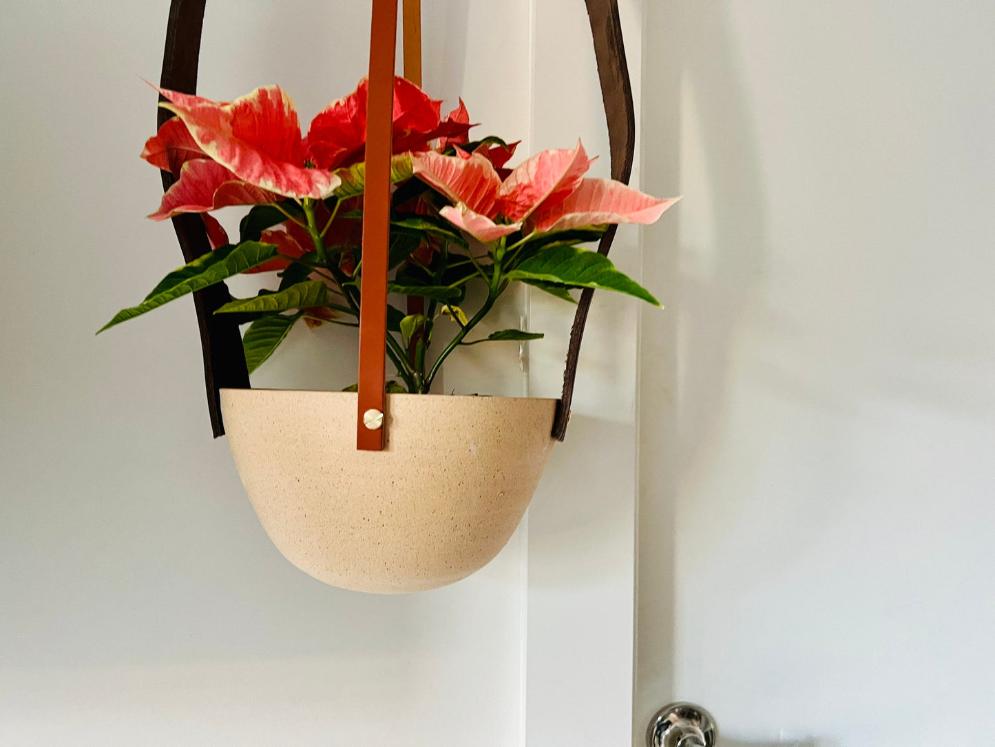 Limited Edition- Western-Style Hanging Planter - Handmade Ceramic - Natural Leather and Brass