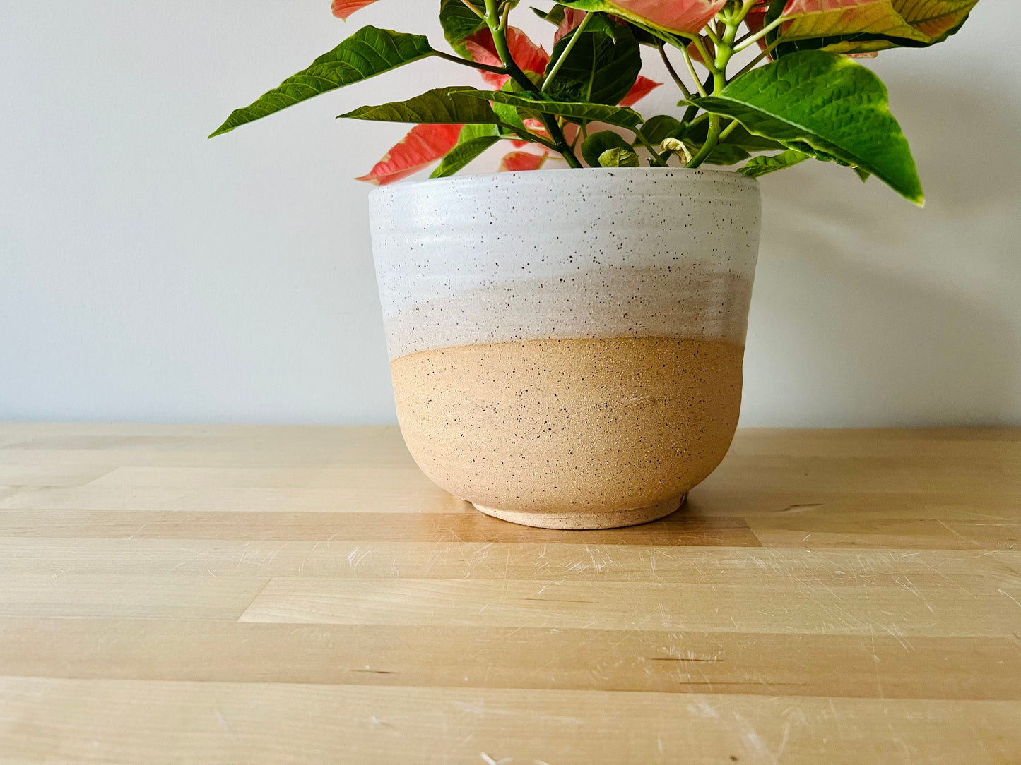 SECONDS- Round Bottom planter with drainhole.6" pot. white. ceramic handemade