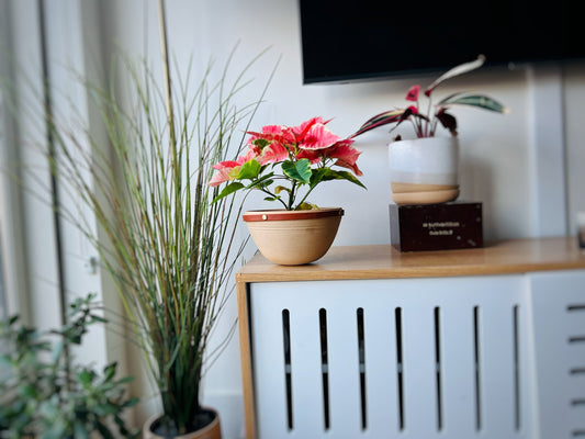 Limited Edition- Santa Fe-Style Planter- Leather and Handmade Ceramic - Size Options