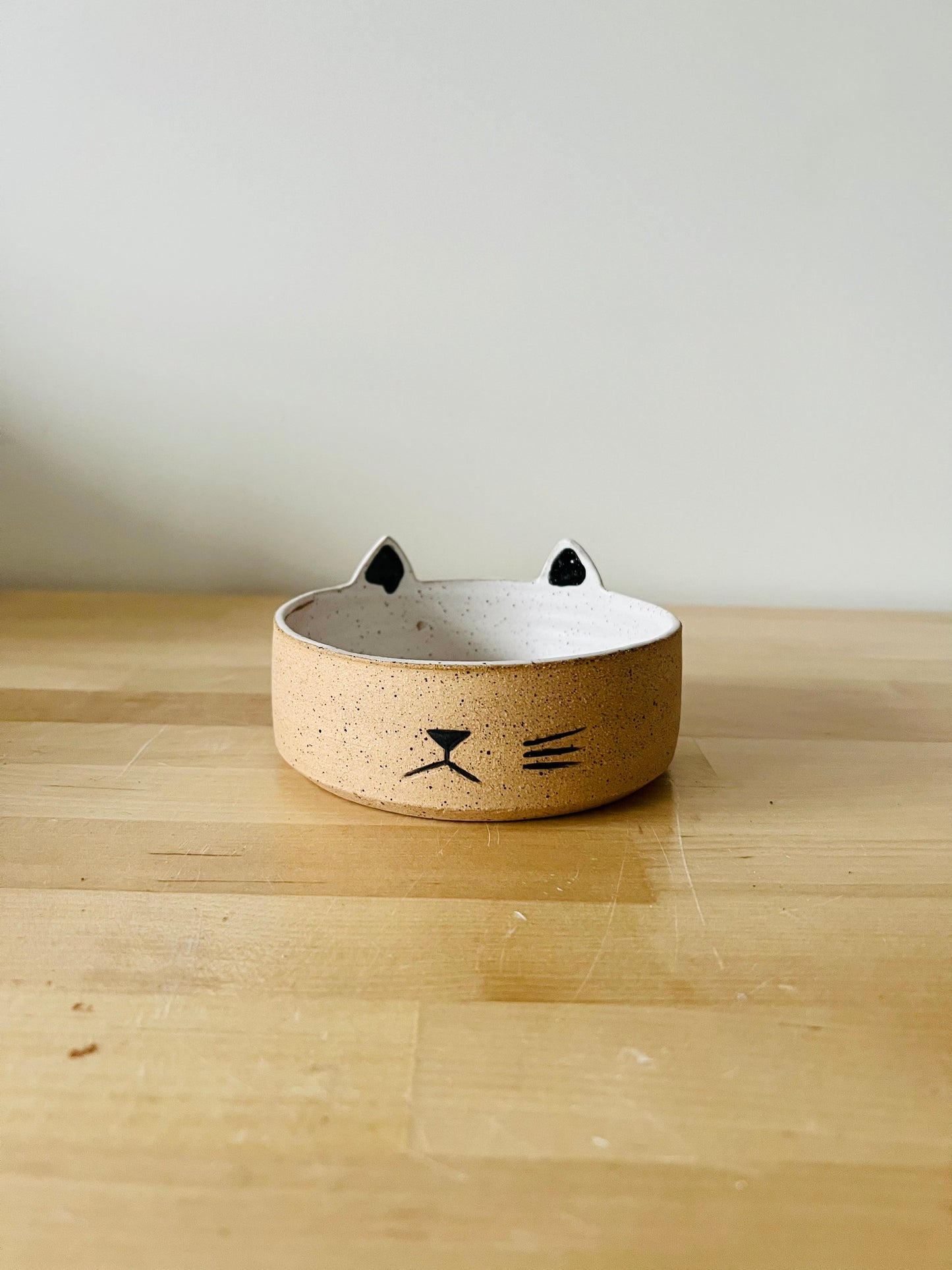 cat food bowl