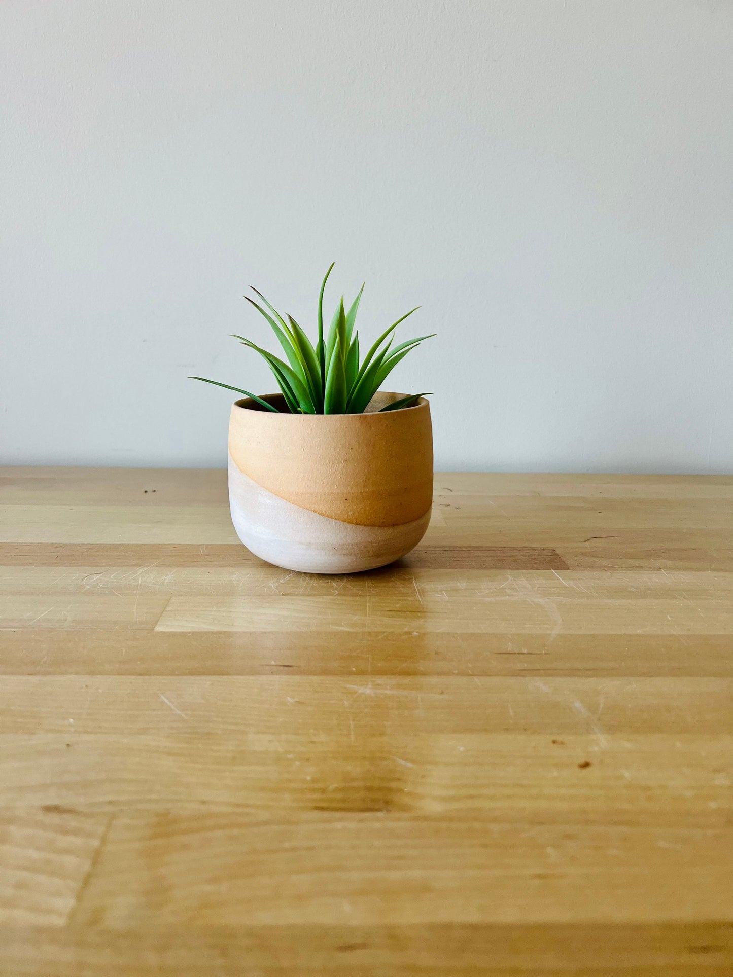 Succulent pot- drainage hole . 3 White. Ceramic- limited edition