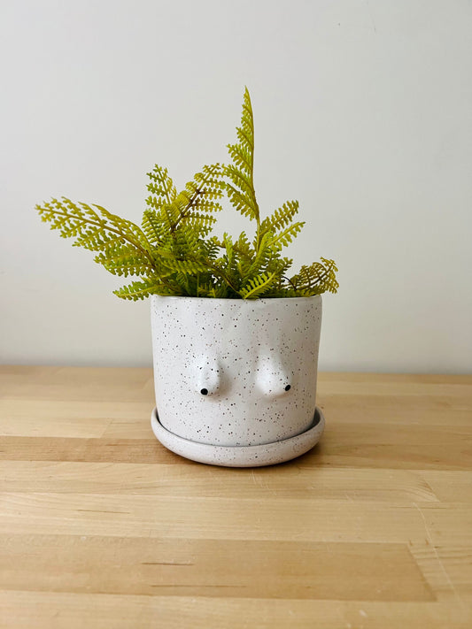 Seconds- Boobie Cylinder planter 4. white. ceramic. Drainage hole and saucer