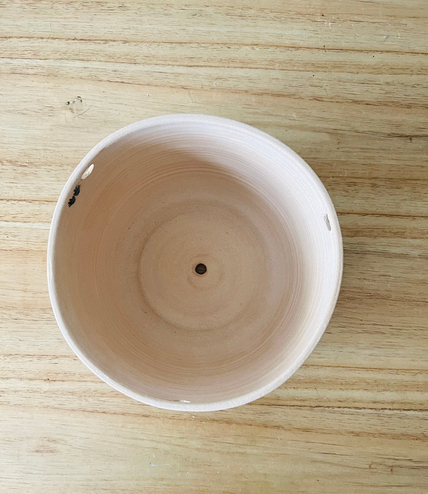 Large Hanging orb planter -ceramic- sample sale