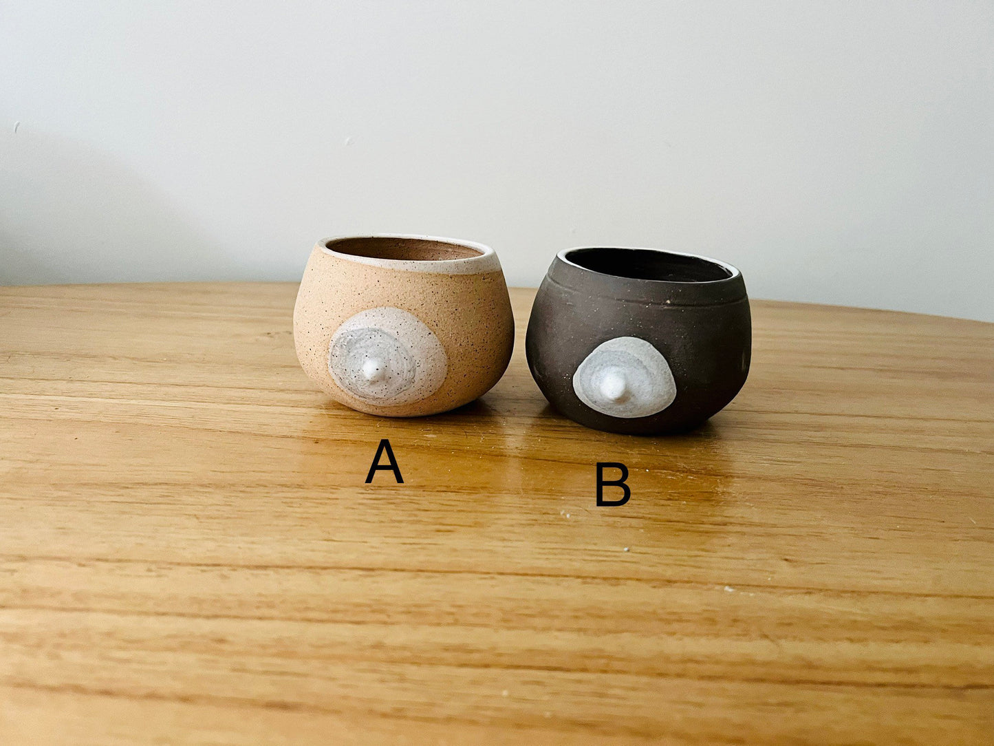 Seconds - Boob Planter - Succulent Pot with Drainage Hole - White