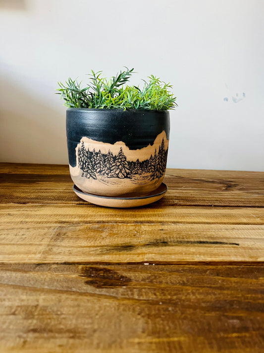 Seconds- 6 inch Round Bottom planter. Black tree scape. Ceramic.