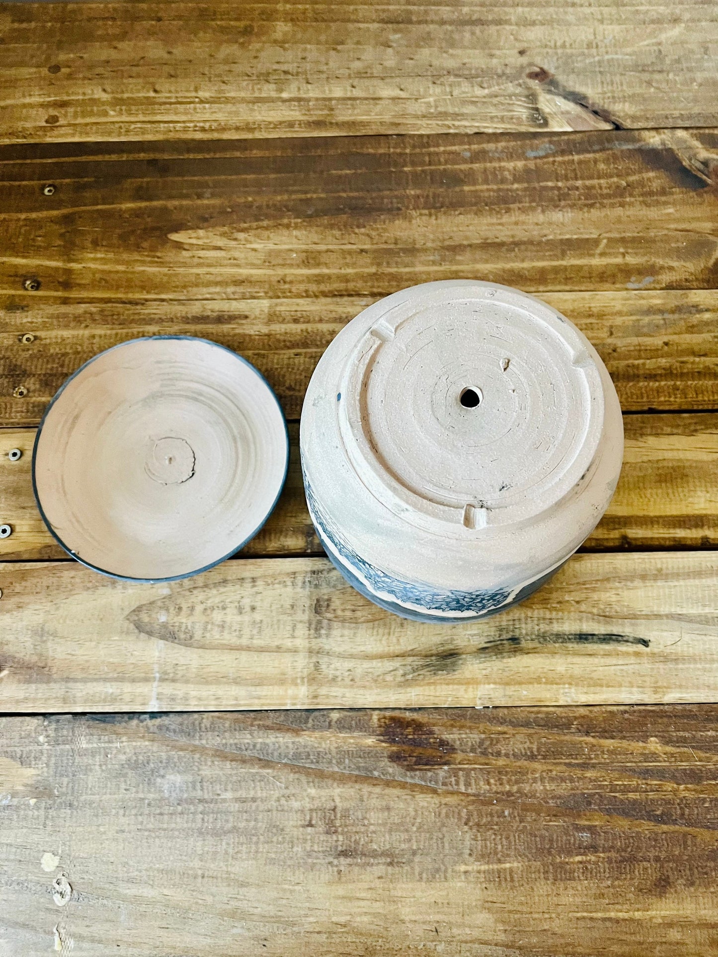 Seconds- 6 inch Round Bottom planter. Black tree scape. Ceramic.