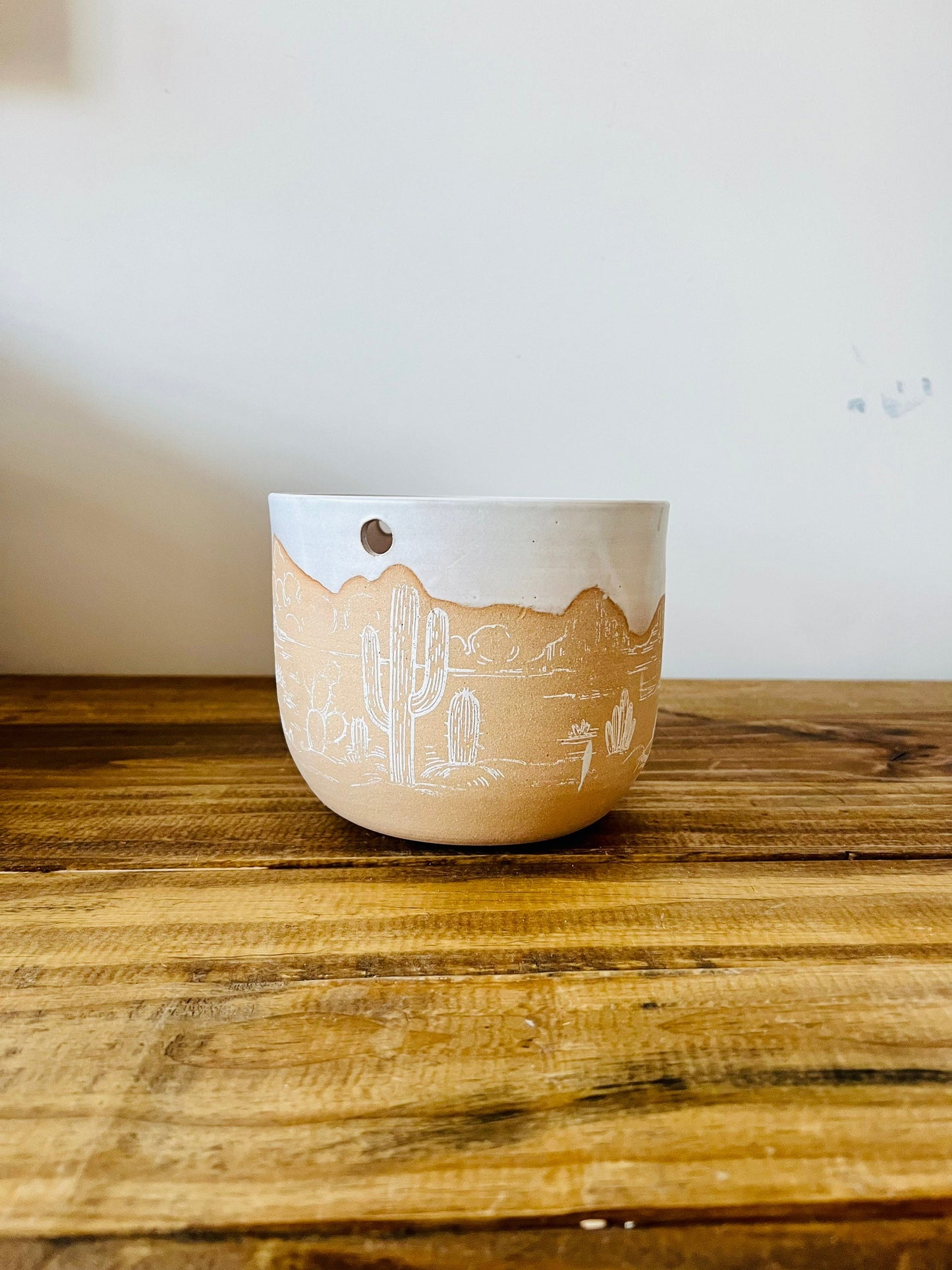 Seconds - Hanging Orb Planter with Hanging Cord - Ceramic - Cactus