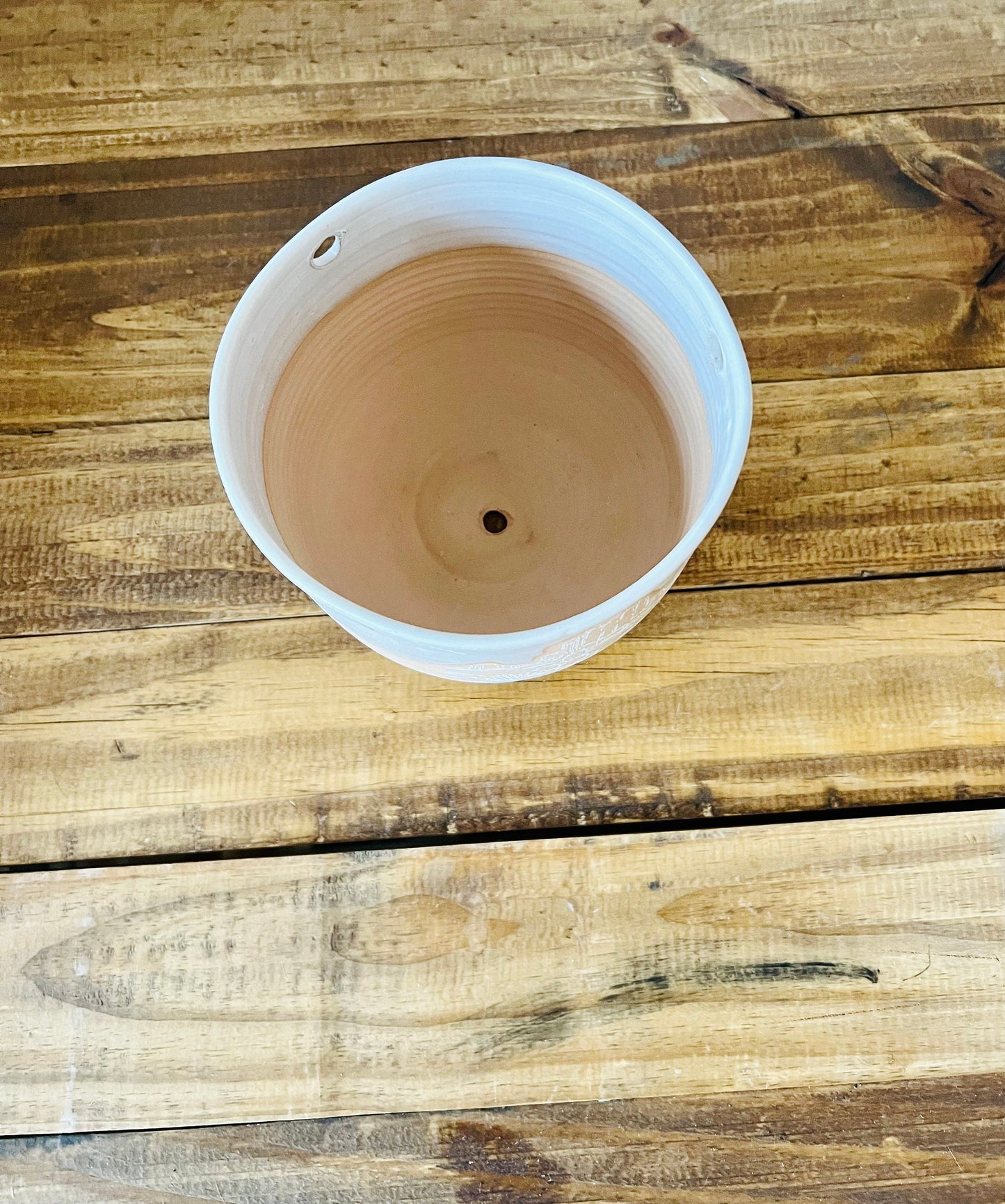 Seconds - Hanging Orb Planter with Hanging Cord - Ceramic - Cactus