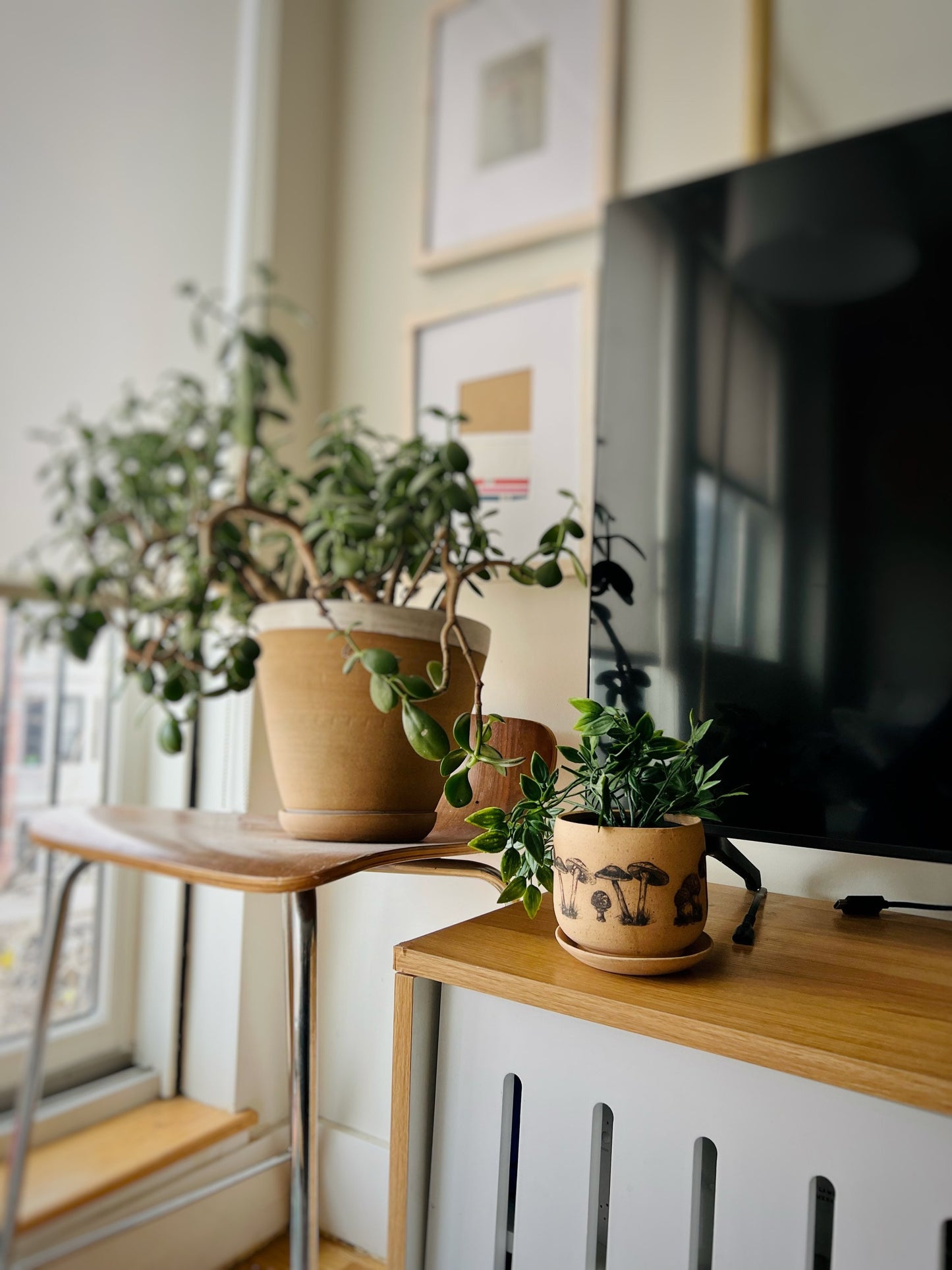 Handmade Stoneware Mushroom Planter with Saucer