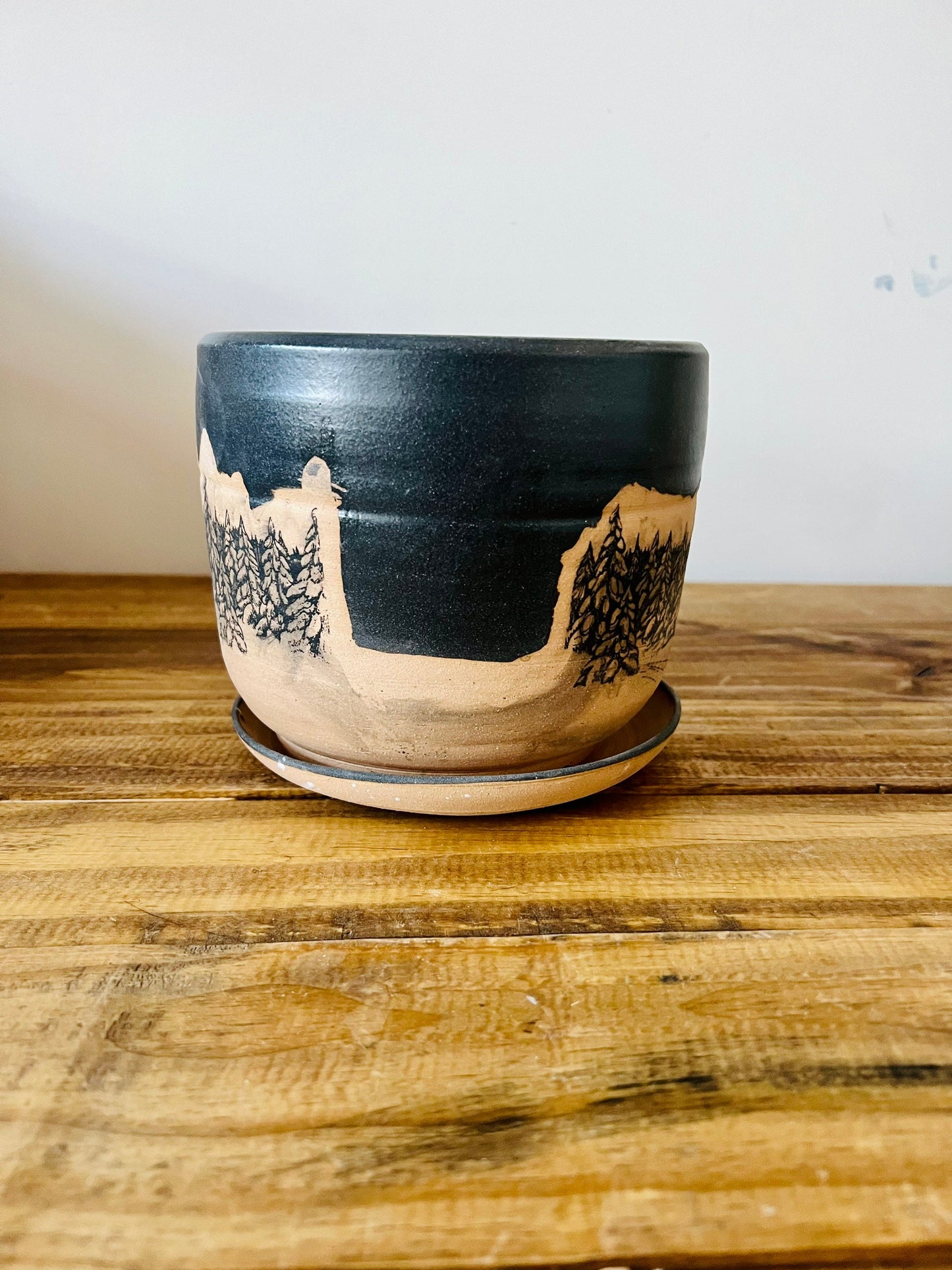 Seconds- 6 inch Round Bottom planter. Black tree scape. Ceramic.