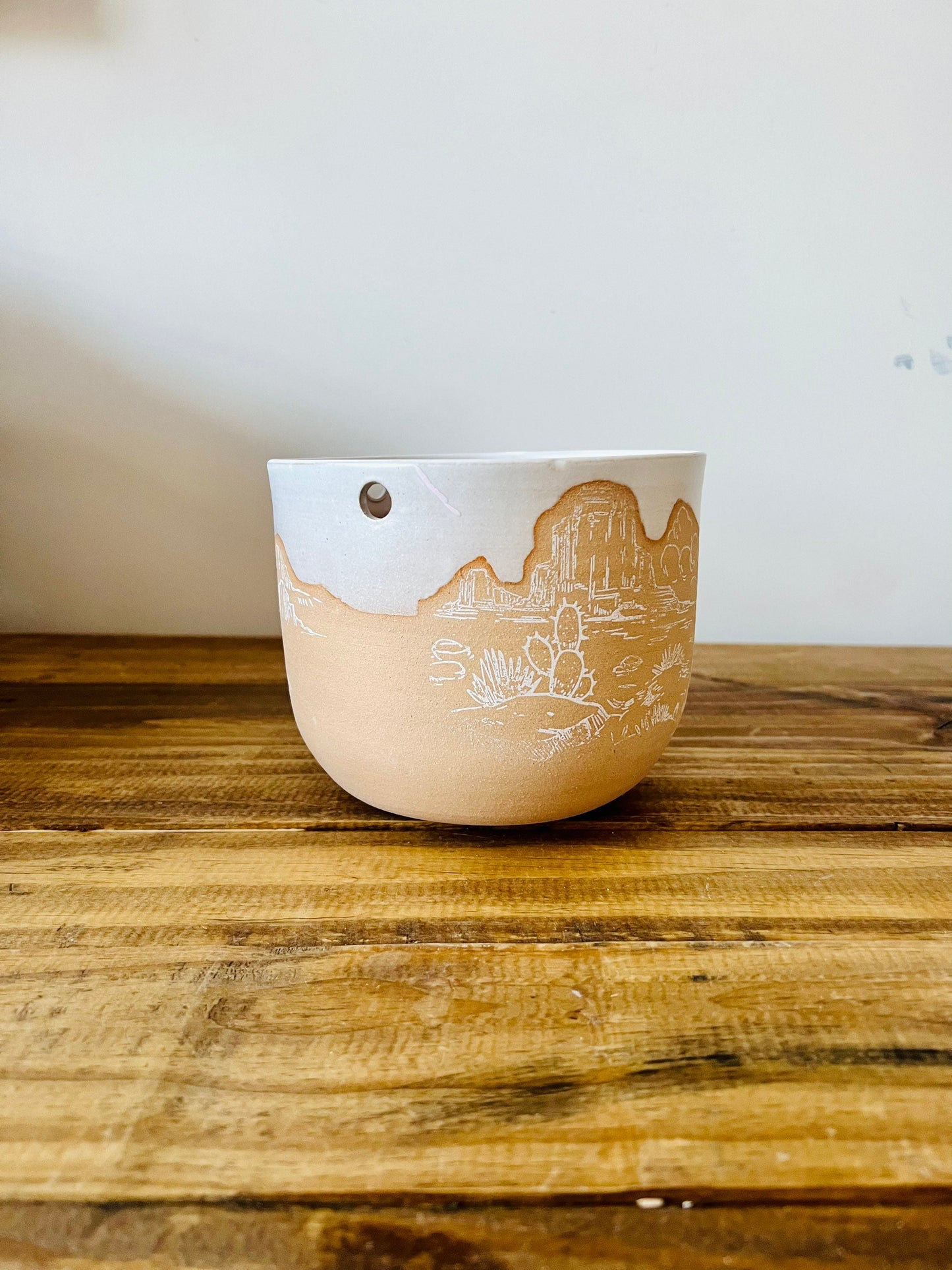 Seconds - Hanging Orb Planter with Hanging Cord - Ceramic - Cactus