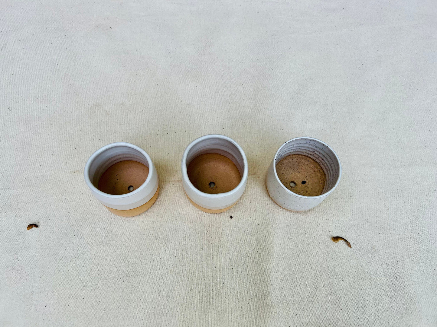 Seconds - Cylinder Planter Pot with Drainage Hole - White - Handmade Ceramic