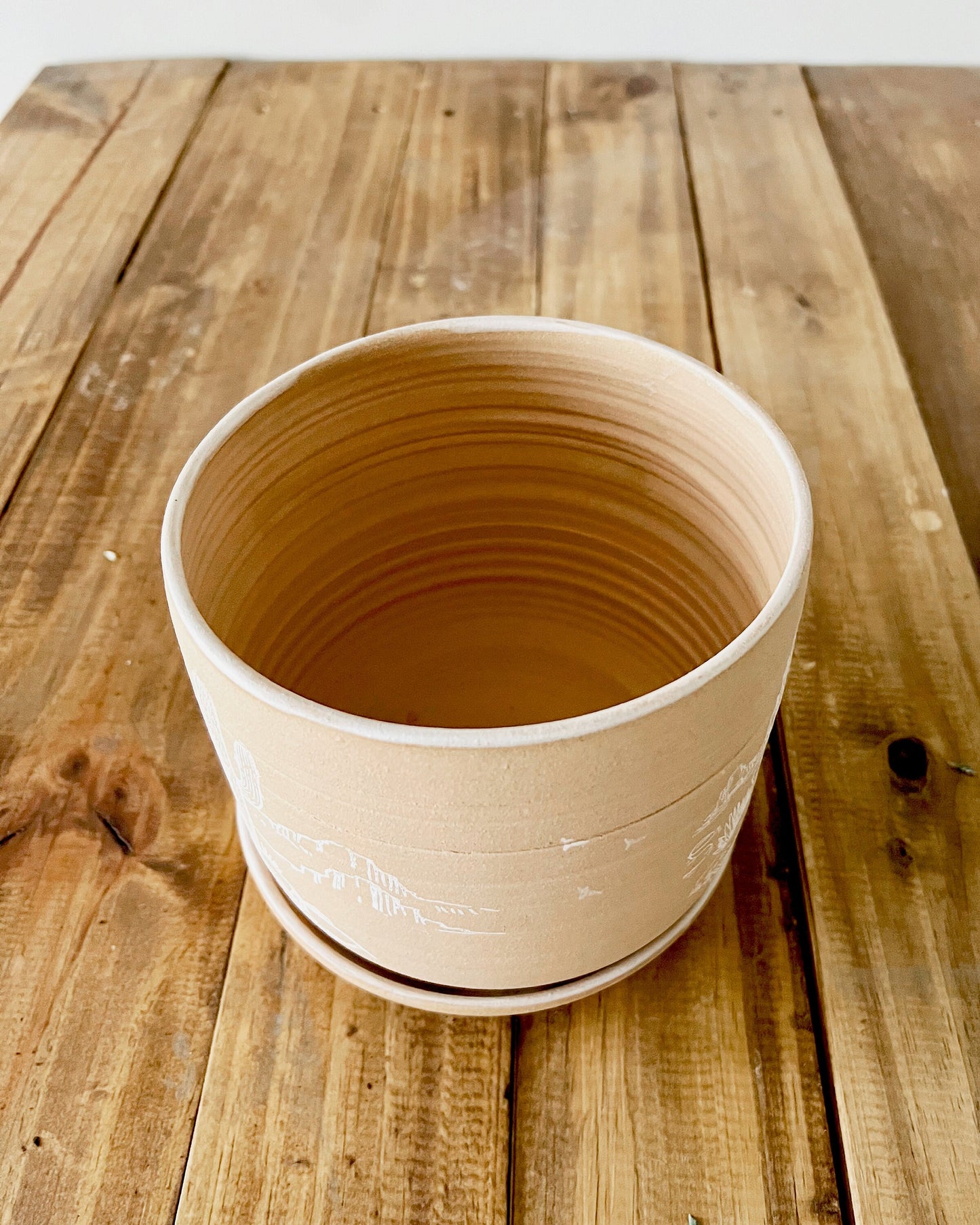 Desert Planter with Saucer - Succulent/Plant Pot - Handmade Ceramic